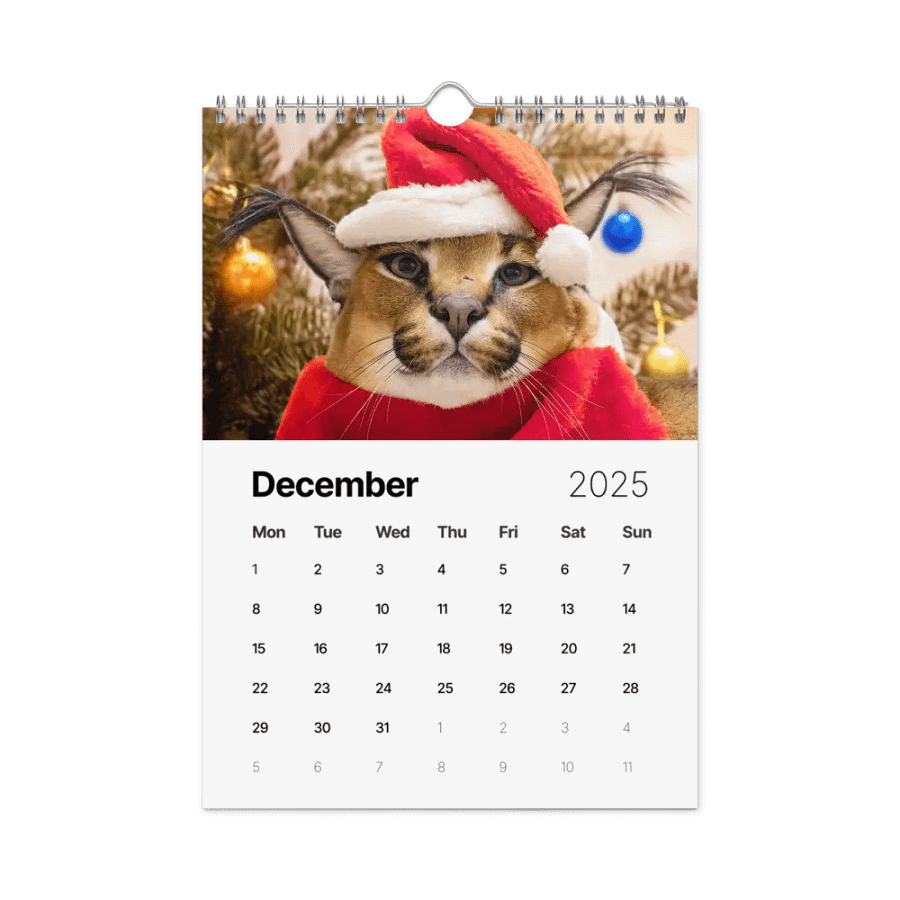 FLOPPA CALENDAR FOR 2025 product image (6)
