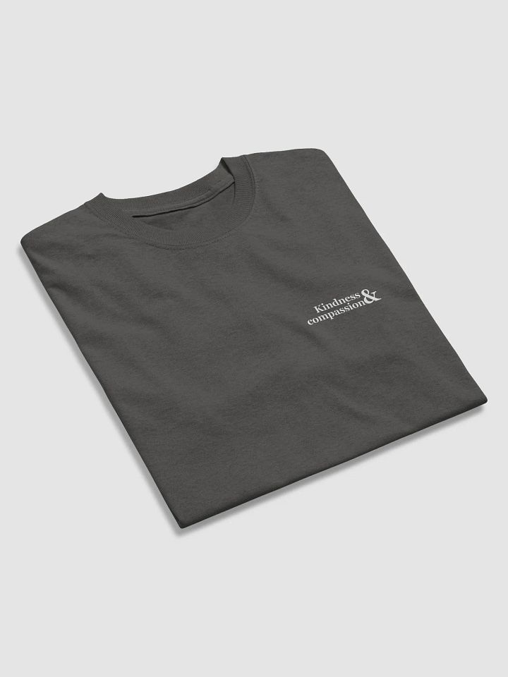 Kindness and compassion t-shirt product image (13)