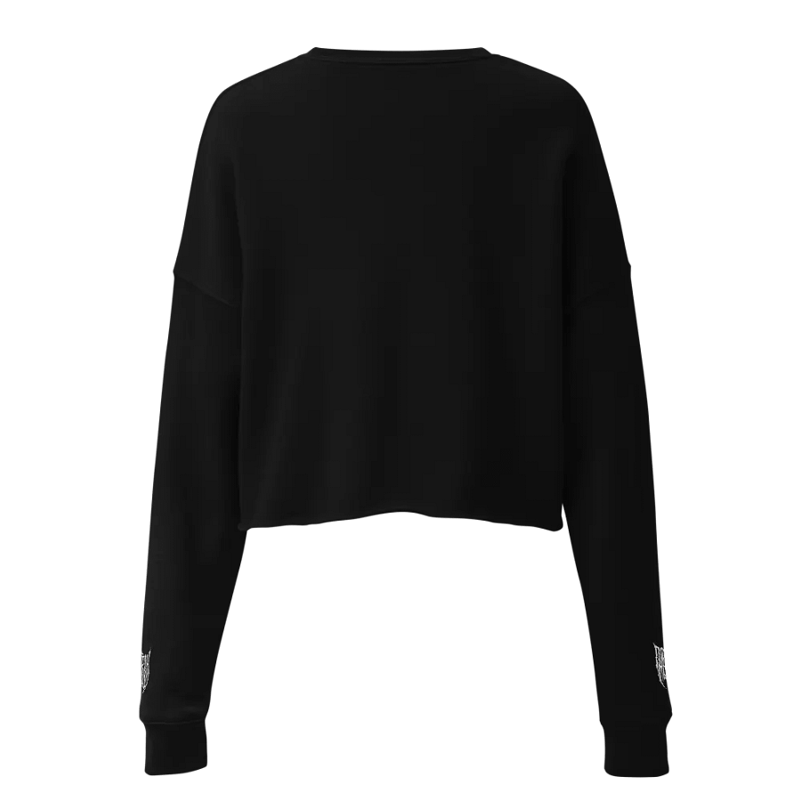 From Zero Comes One - Embroidered Crop Top product image (10)