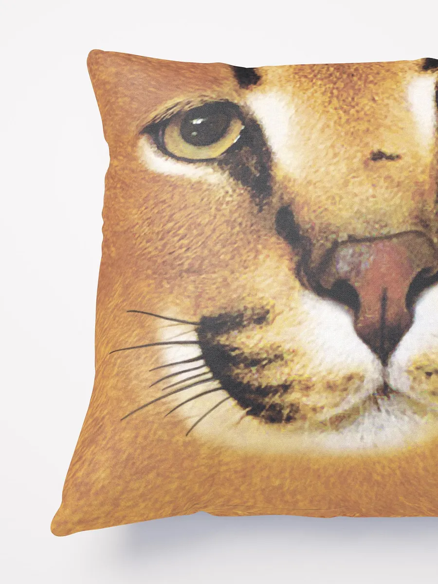 Double sided cheap pillow