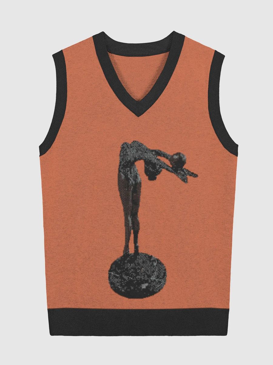 Sculpture Knit V-Neck Vest product image (1)