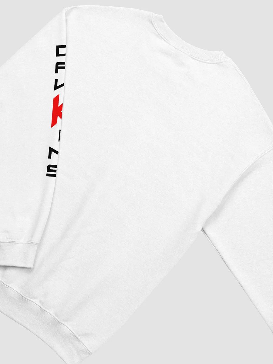 Dawkins Circle Sweatshirt (White) product image (4)