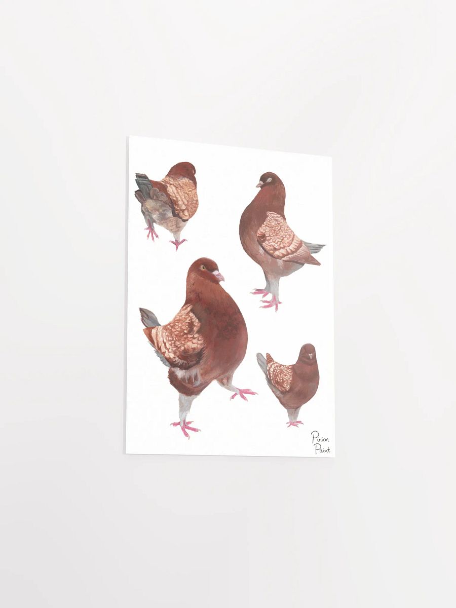 Merlot pigeon print product image (3)