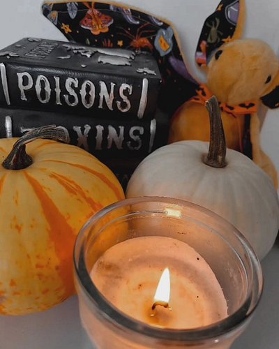 My spooky corner ✨️🤌🏻🎃 love Halloween time

Bat made by @stitchesbyscooter