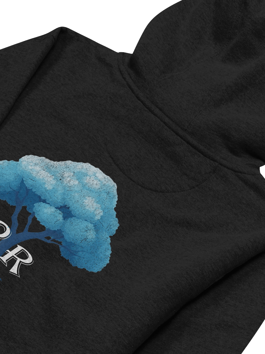 "CYOR" HOODIE product image (35)