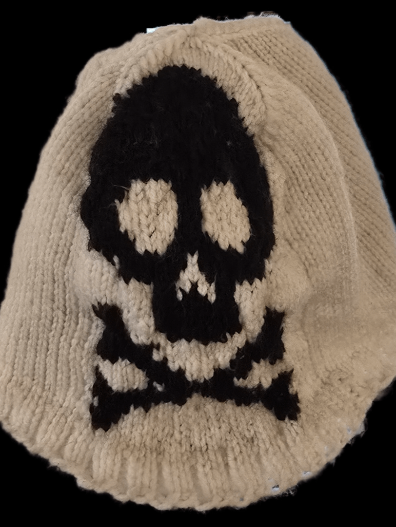 Airrids' Skull hats!!-Made to order product image (6)