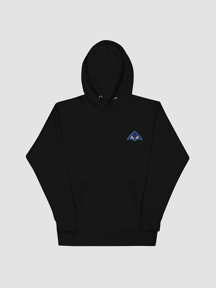 Embroidered Logo Hoodie product image (1)