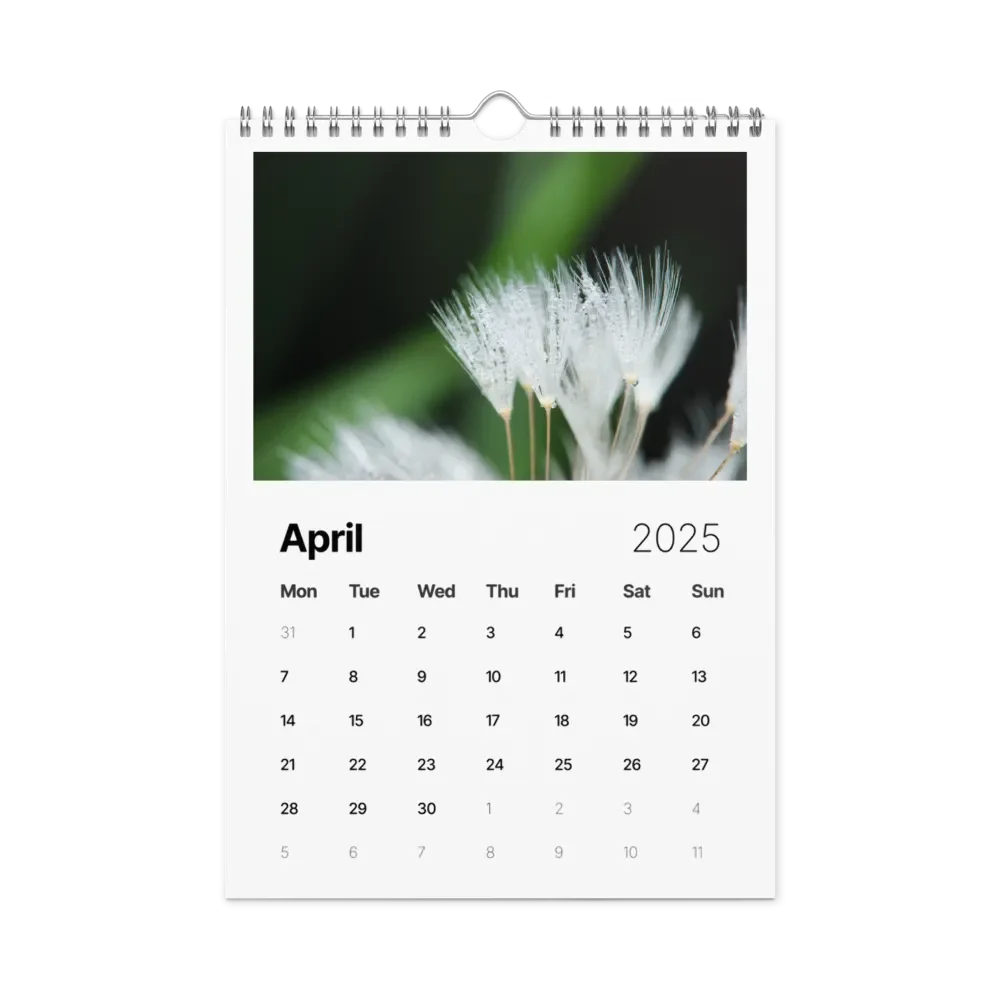Ephemeral Dandelions 2025 Wall Calendar product image (5)