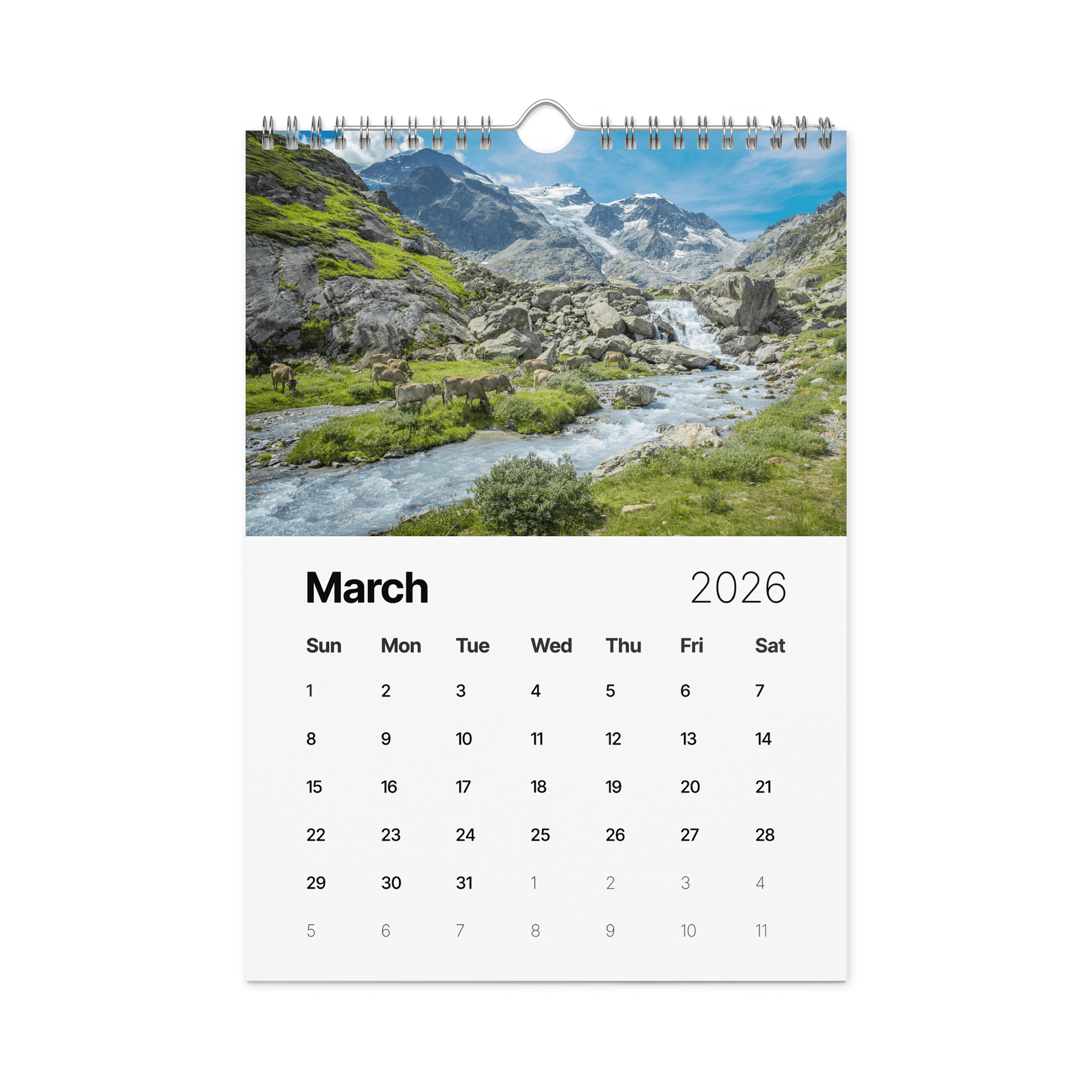 Swiss Cow Calendar 2026 product image (4)