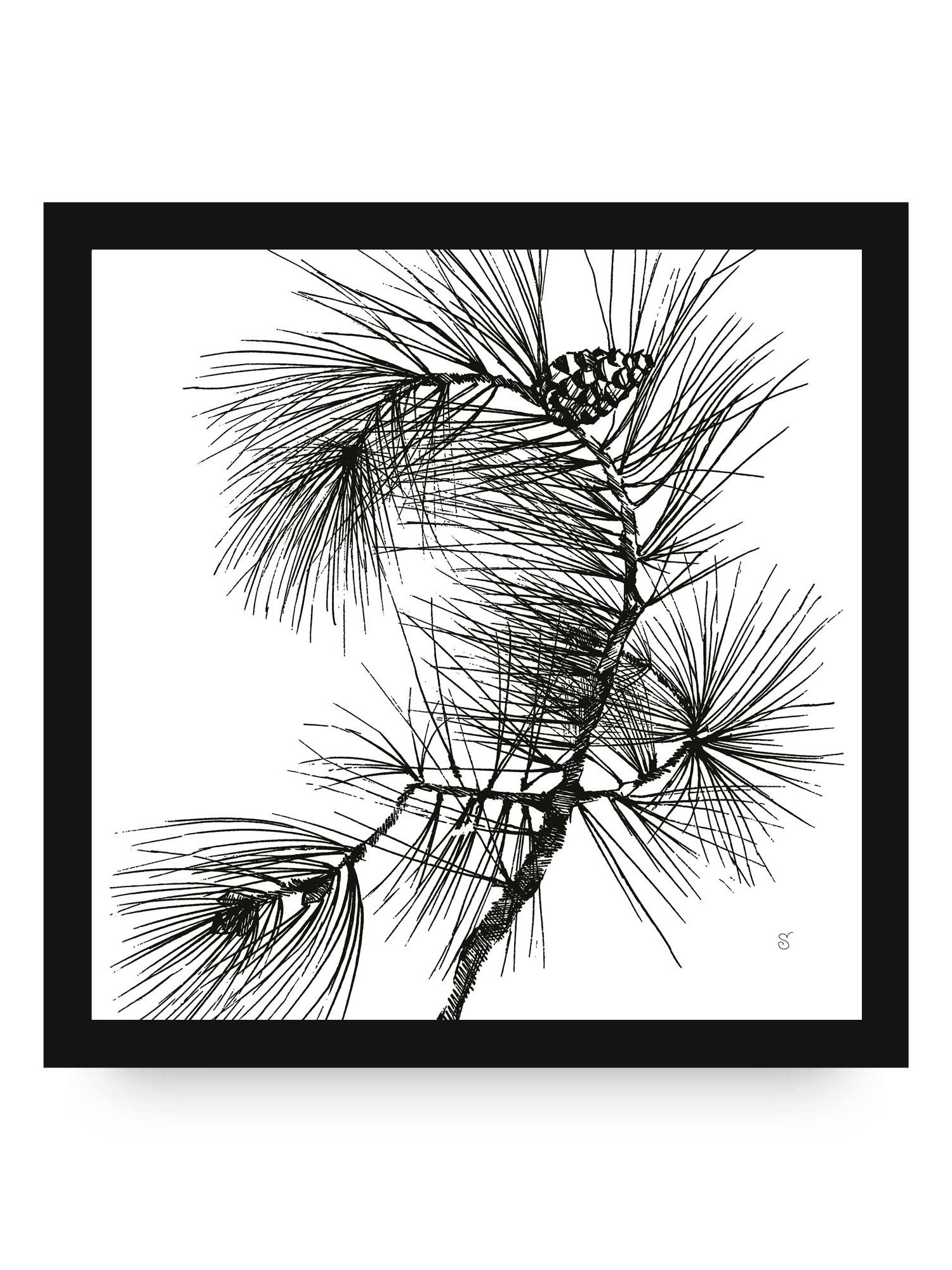 Blank Canvas Collection - Pine Branch product image (98)