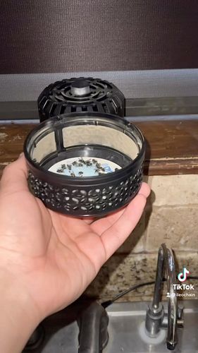 DynaTrap Indoor Machine! Not sponsored just trying to help! #flytrap #reels #amazonfinds
