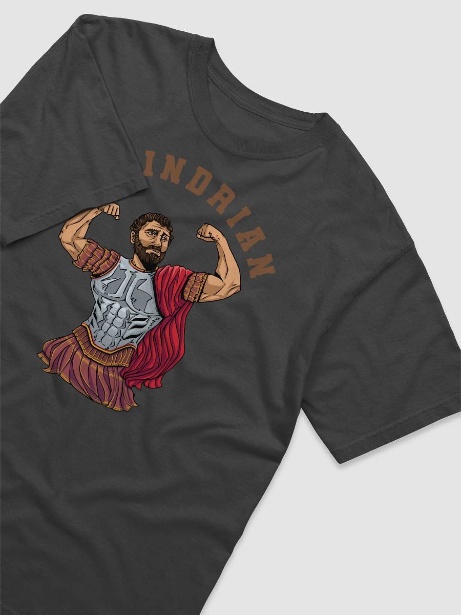 Gaindrian T-Shirt product image (20)