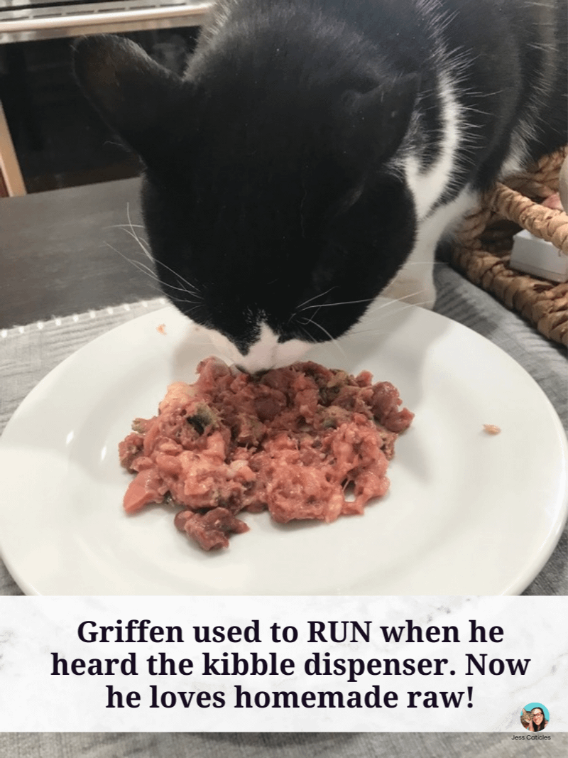 Fresh Cat Food Recipes eBook ~ Raw and Cooked Meals for Adult Cats product image (5)