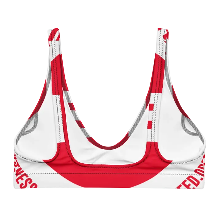 IFBNewsfeed.Org's All-Over Print Recycled Padded Bikini Top product image (1)