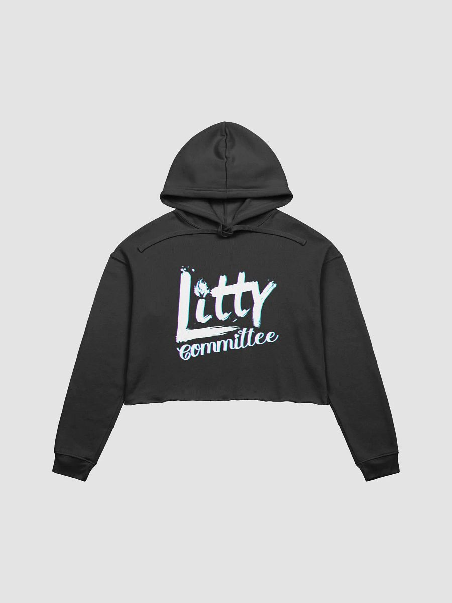 Cropped Litty Committee Hoodie product image (1)