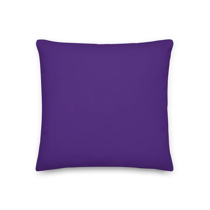 CG Educational Pillow product image (2)