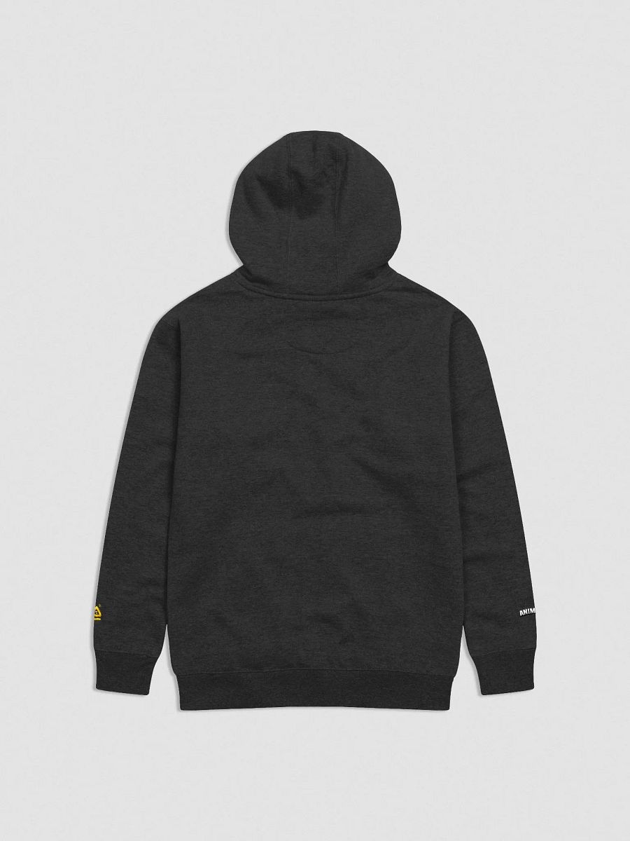 Embroidered Anima Alumini Text Hoodie! product image (17)