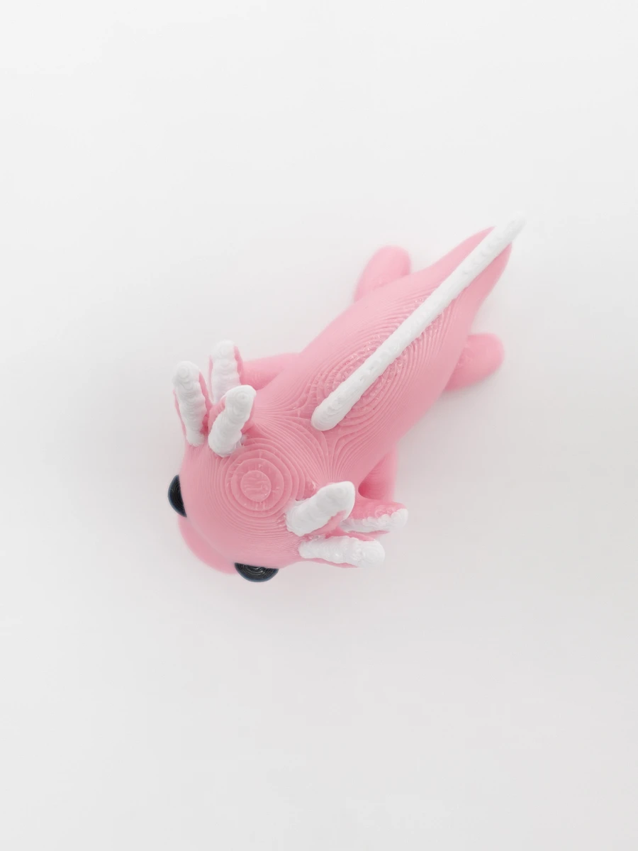 Baby Axolotl product image (2)