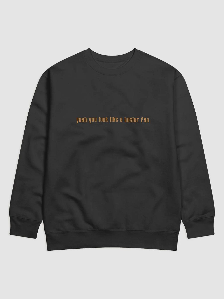 Hozier Fan Sweatshirt product image (1)