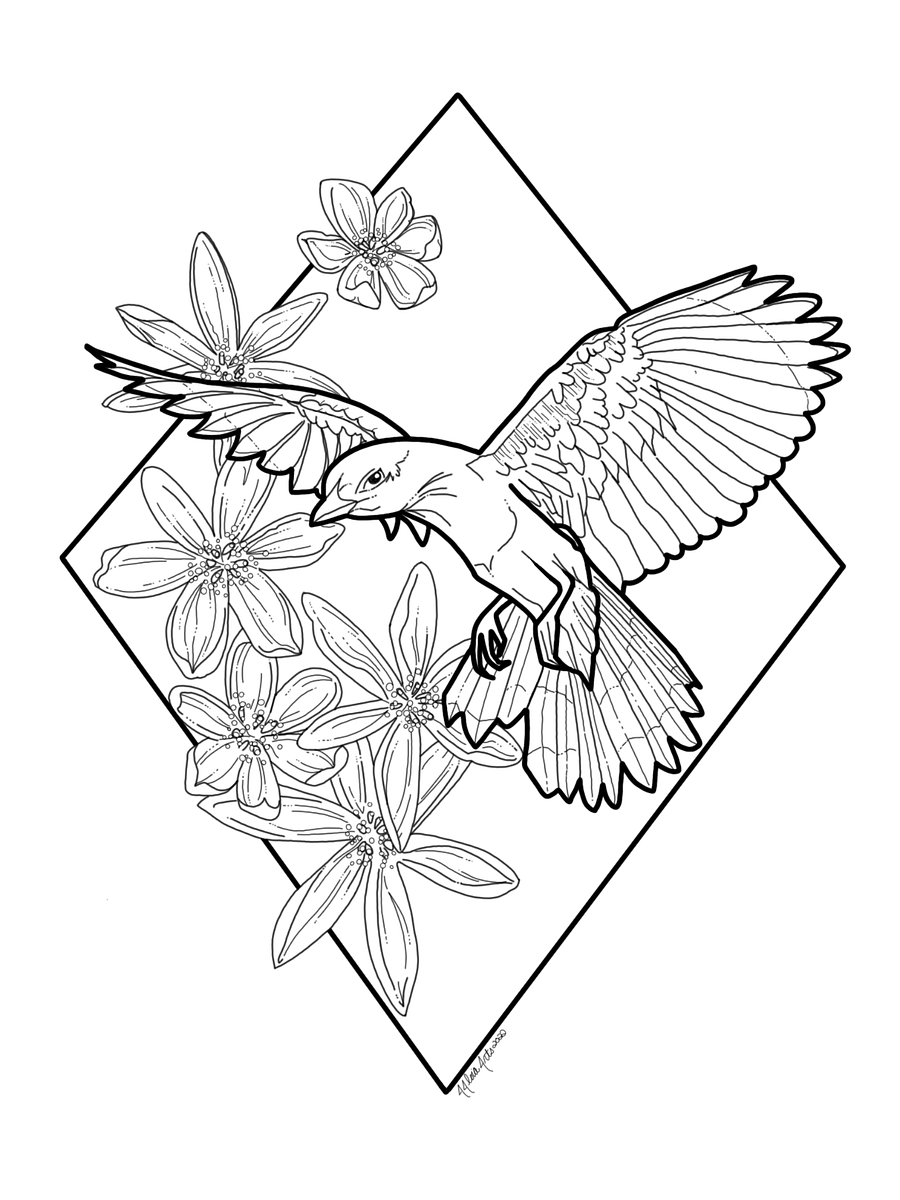 Early Birds Coloring Pages product image (3)