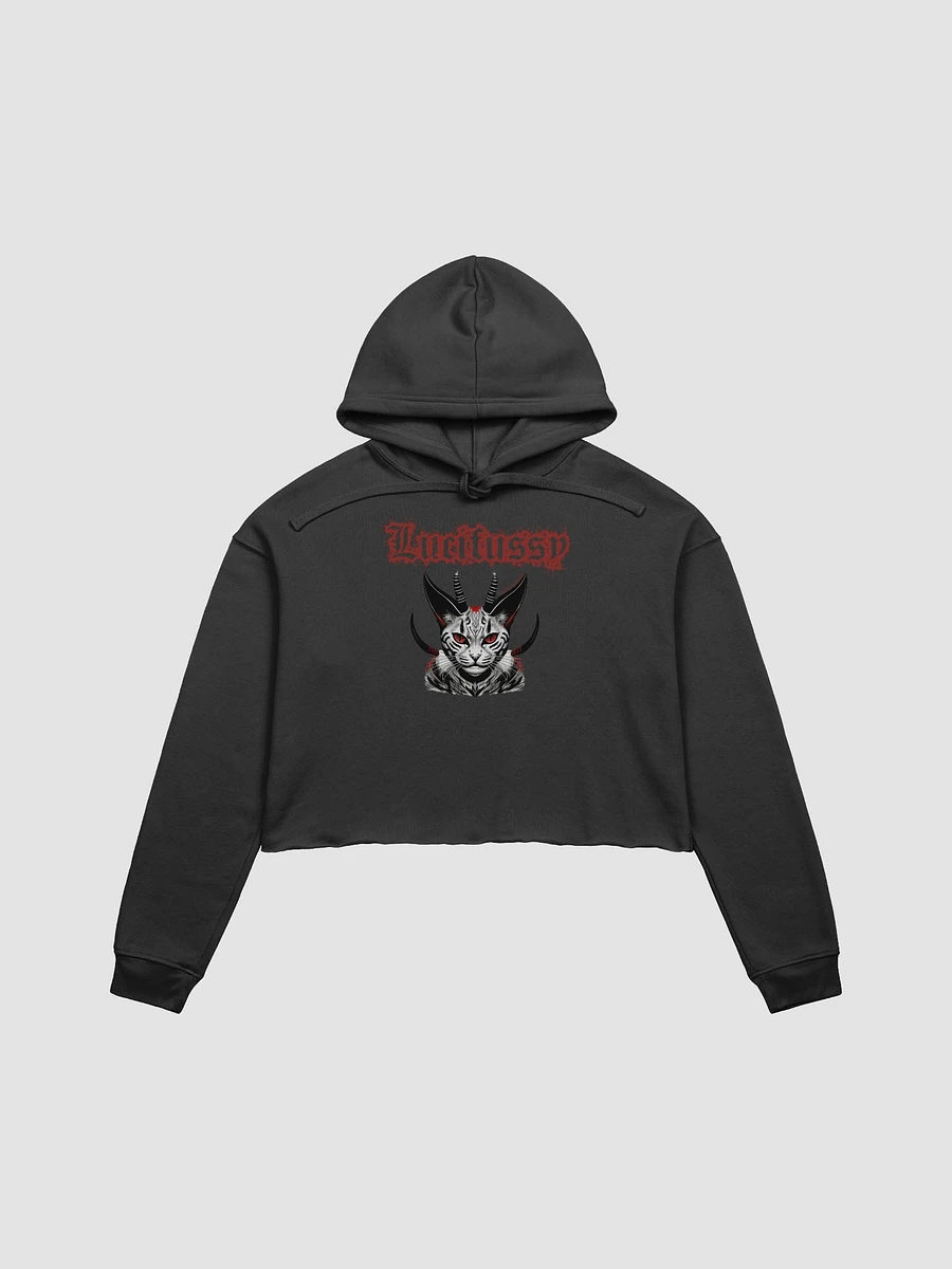 Lucifussy Cropped Hoodie product image (1)