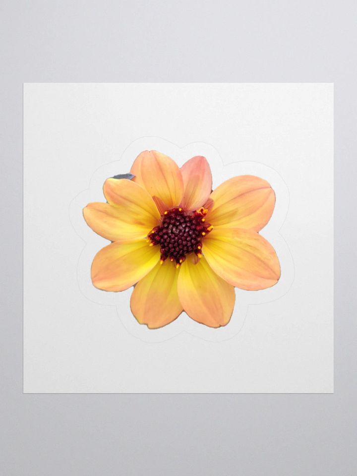Flower Stickers v3 product image (1)