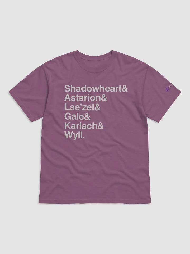 BG3 Companions Tee - Dark product image (1)