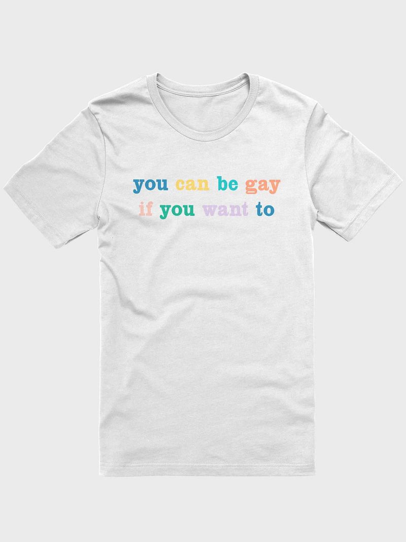 "you can be gay if you want to" tee
