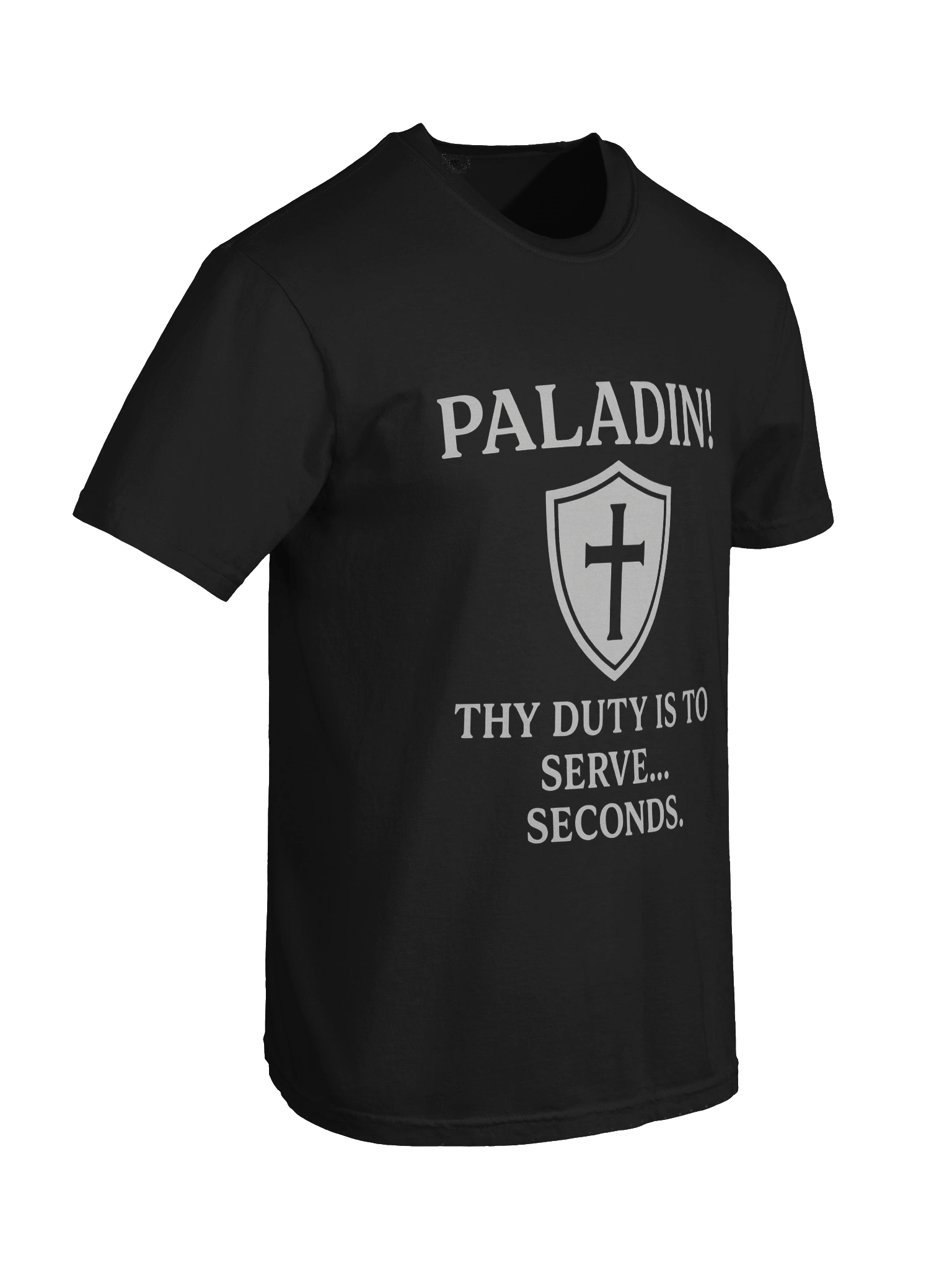 PALADIN product image (100)