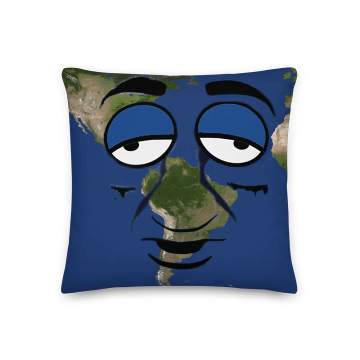 Earth Pillow! product image (1)