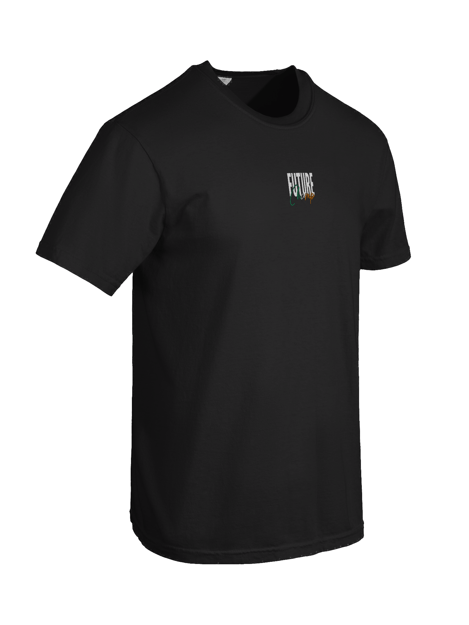 Future Champ Tricolour Tee product image (8)
