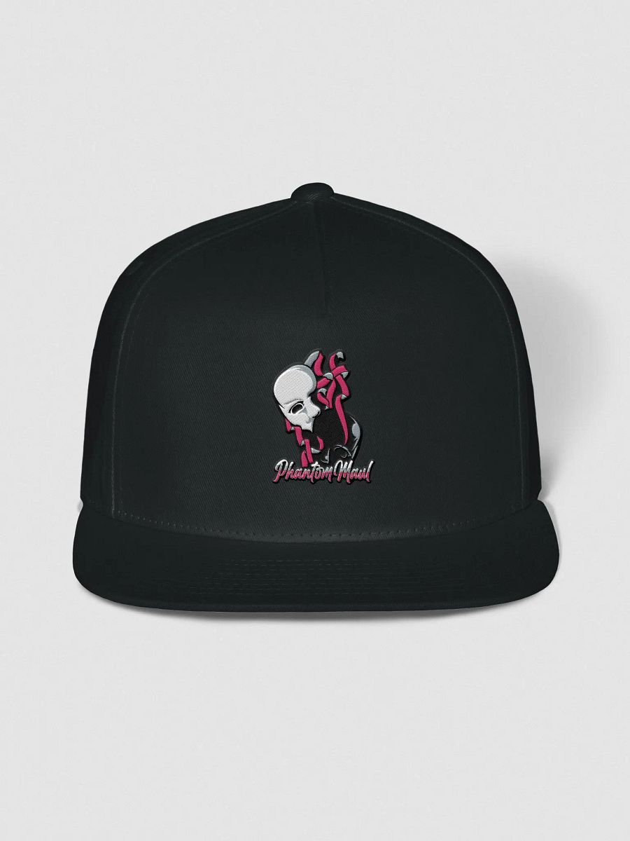 OG Logo Snap-Back product image (1)