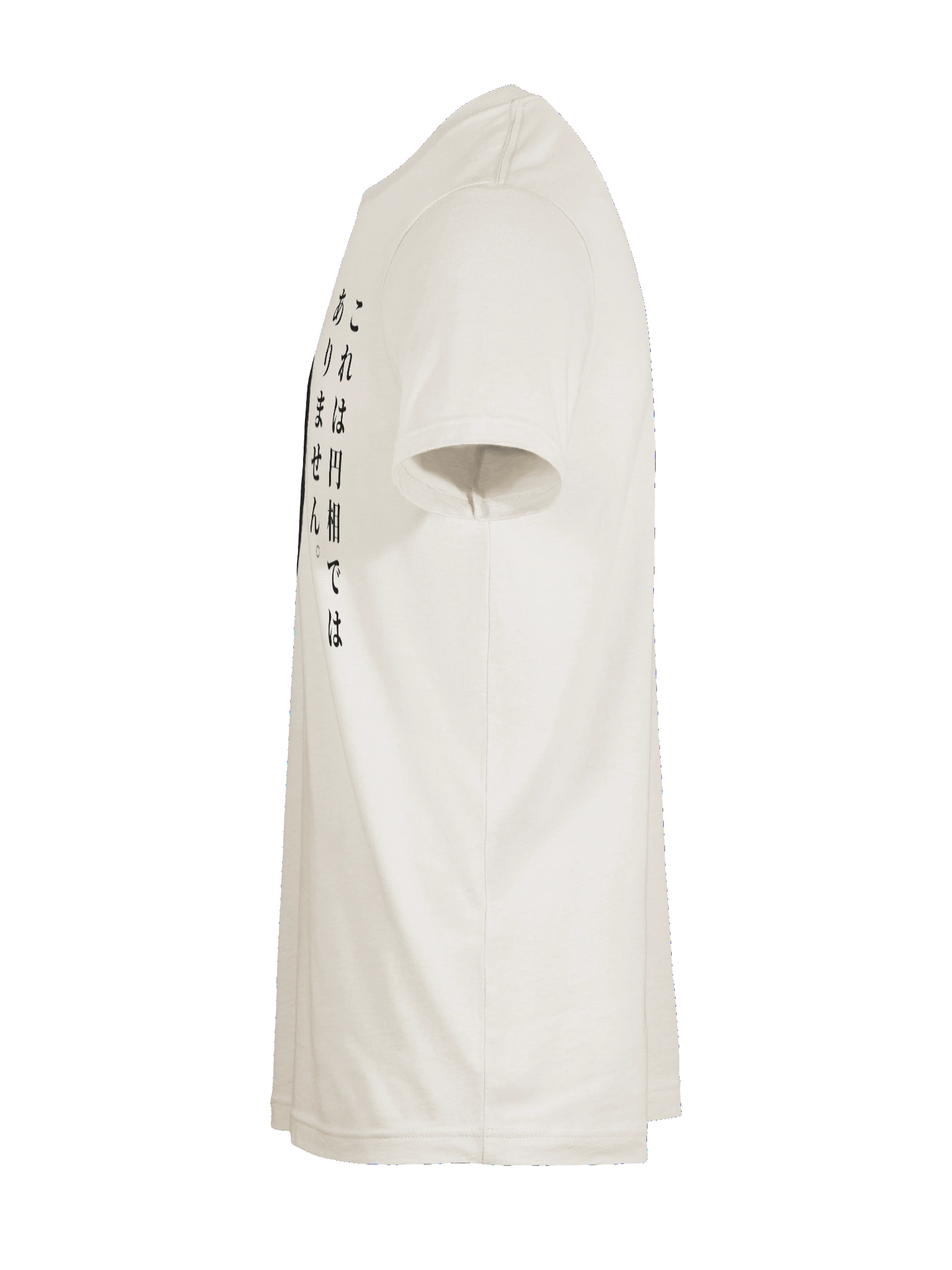 This Is Not An Ensō Graphic Tee (Dark on Light) product image (11)