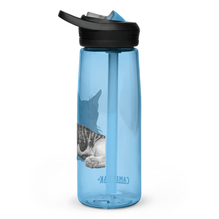 Cat Drawing Water Bottle Straw product image (61)