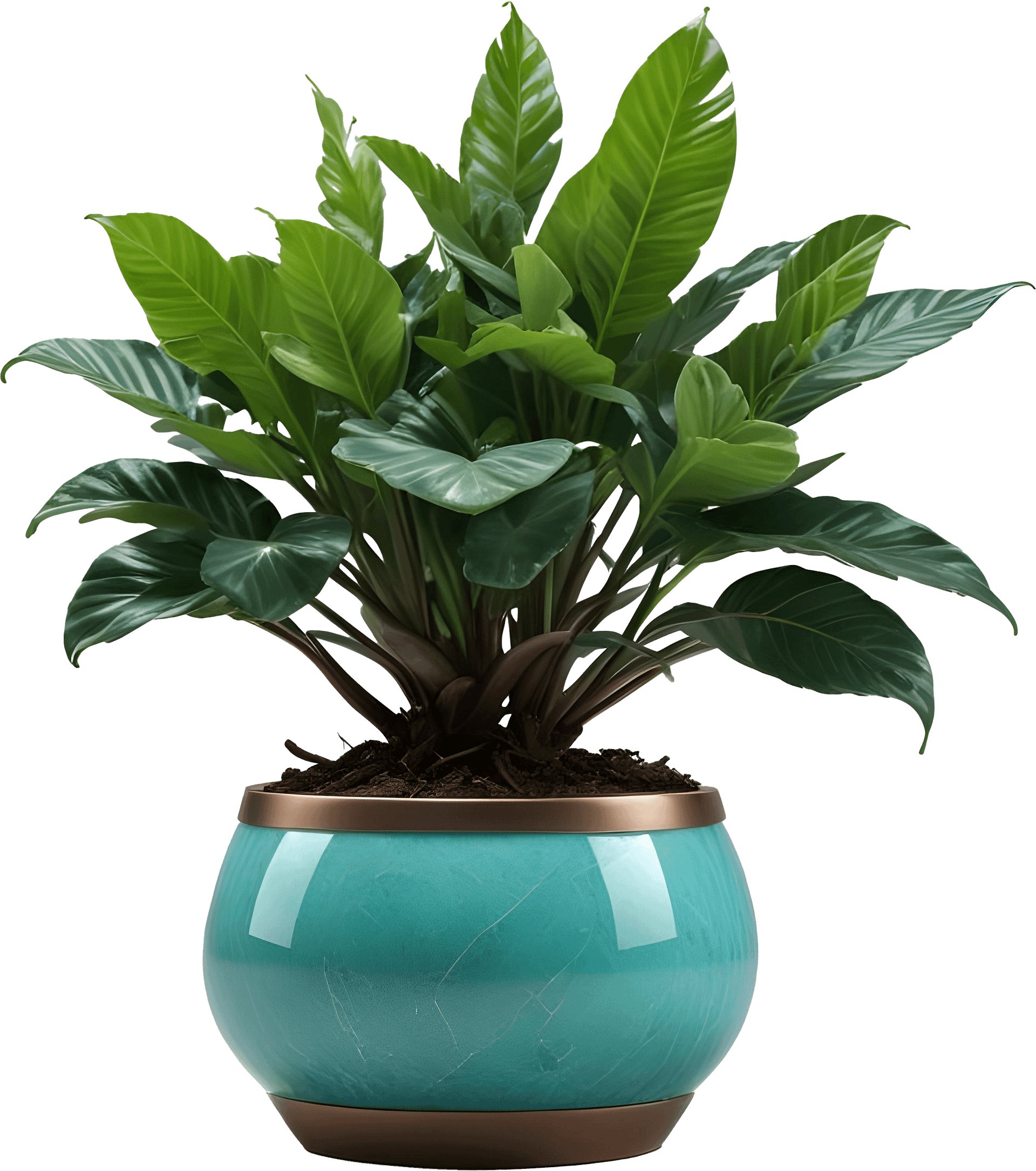 Jade Signature – Round Jade Planter PNG product image (1)