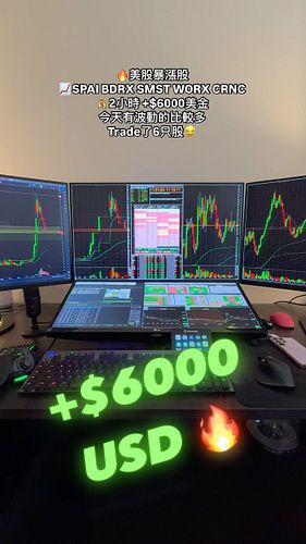 💰+$6000美金🔥美股暴漲股📈SPAI BDRX SMST WORX CRNC
今天有波動的比較多
Trade了6只股😂
#美股 #股票 #交易 #daytrader #trader #股市 #港股 #a股 #daytrading #台股 #投資 #當沖