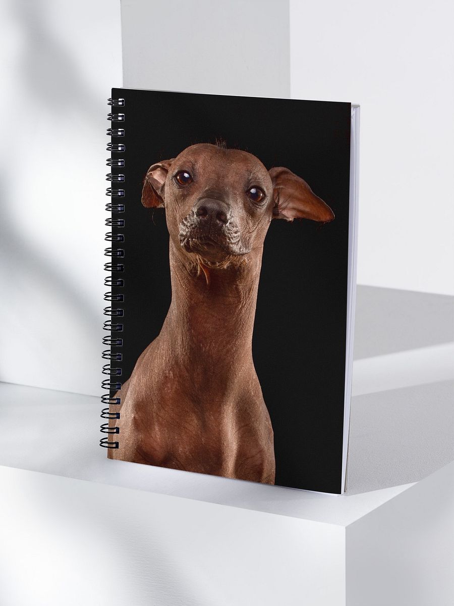 Akela the hairless wonder - Spiral Notebook product image (4)