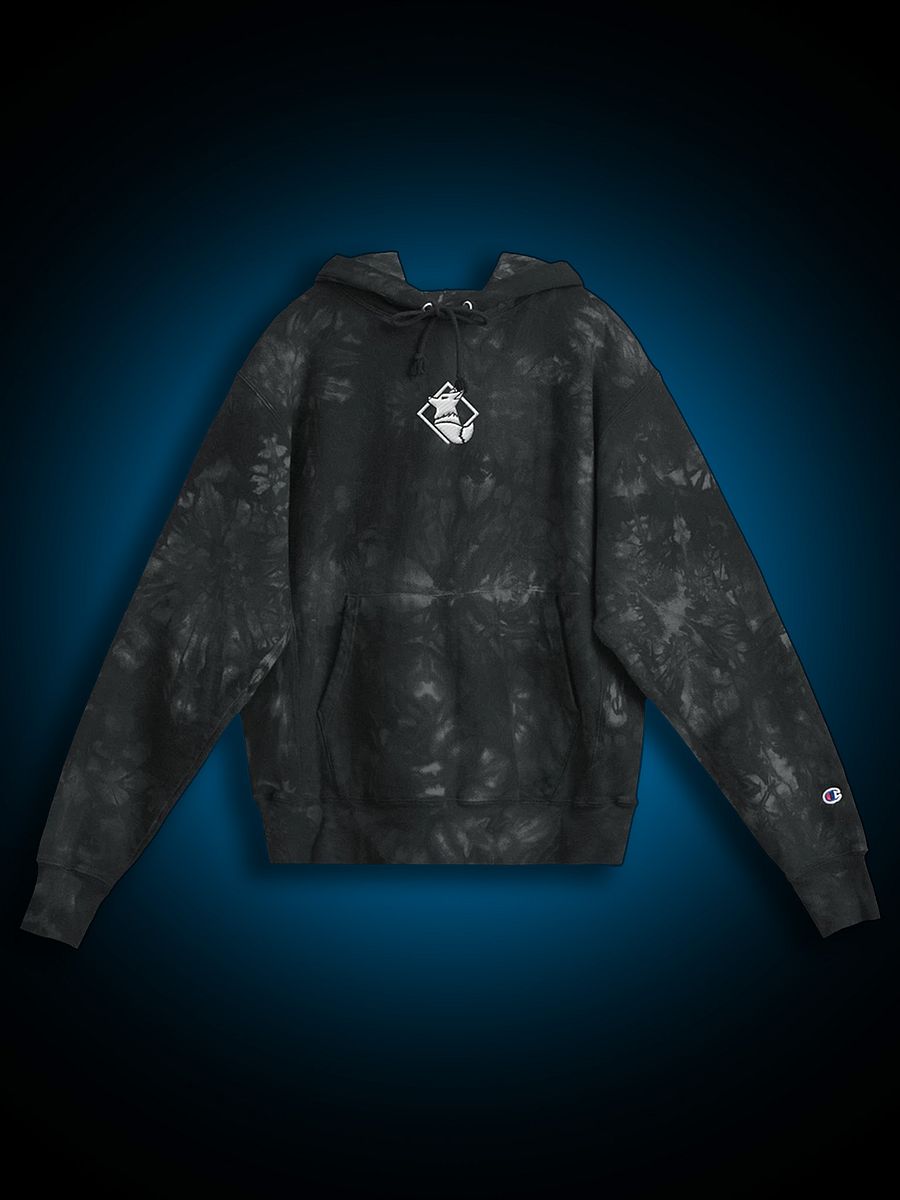 Spark Champion Hoodie product image (1)