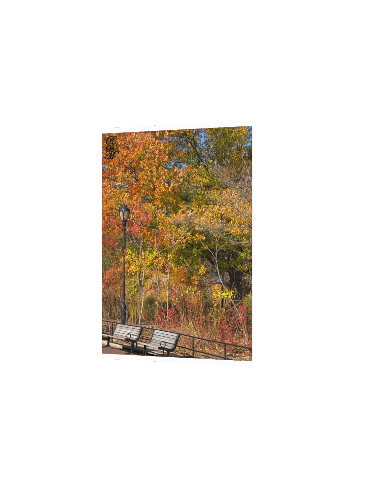 Park Bench and Autumn Leaves product image (3)