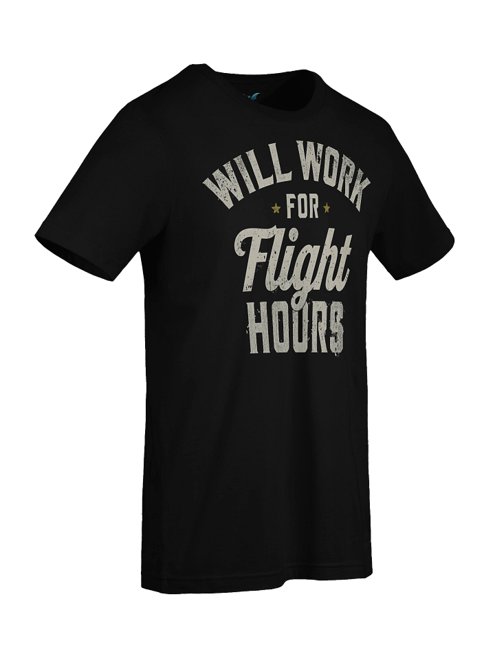 Will Work for Flight hours product image (2)