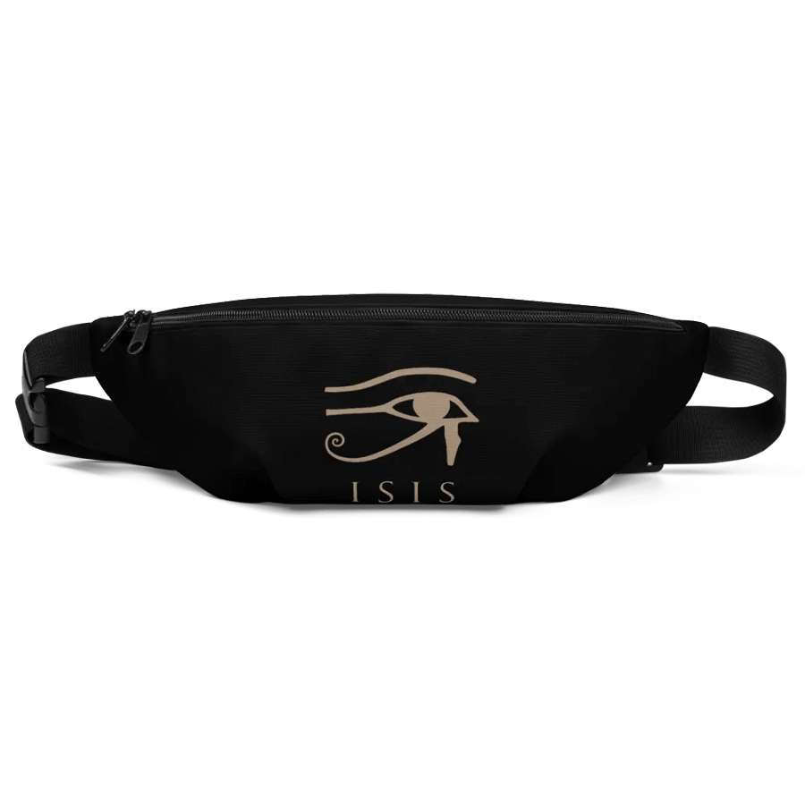 Isis Black Bag Fanny Pack product image (1)