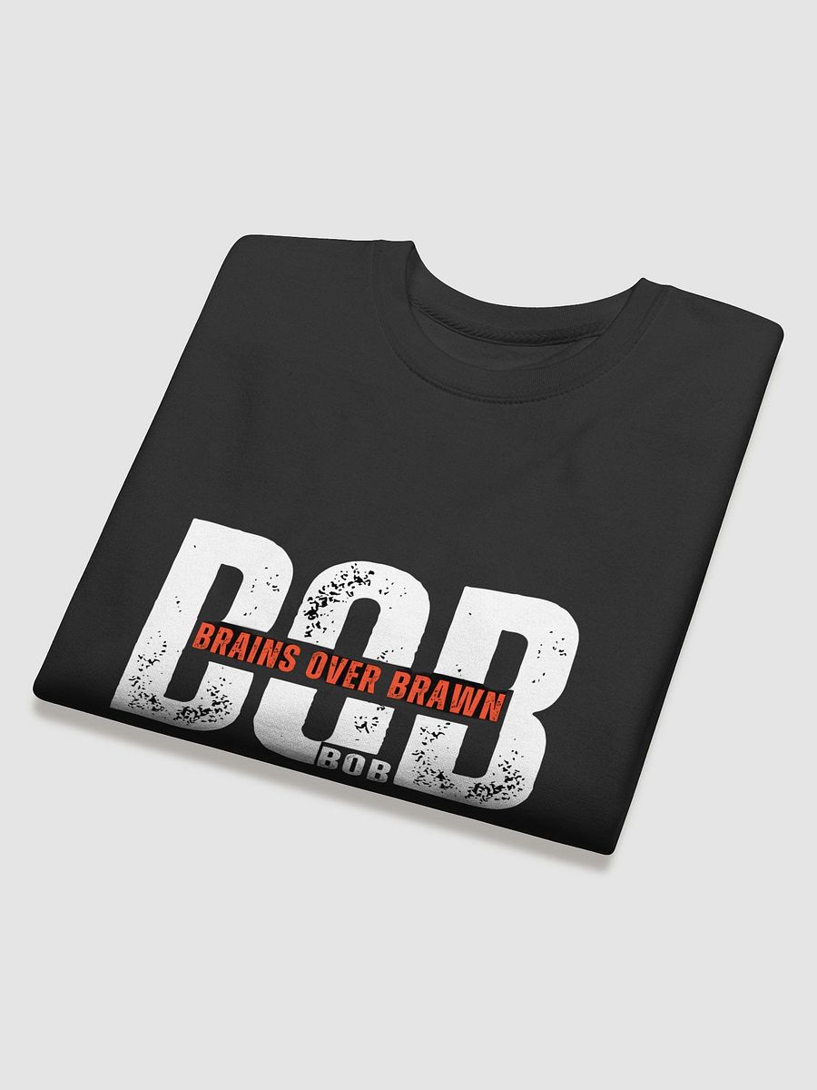 BOB Distressed Banner Sweatshirt product image (16)