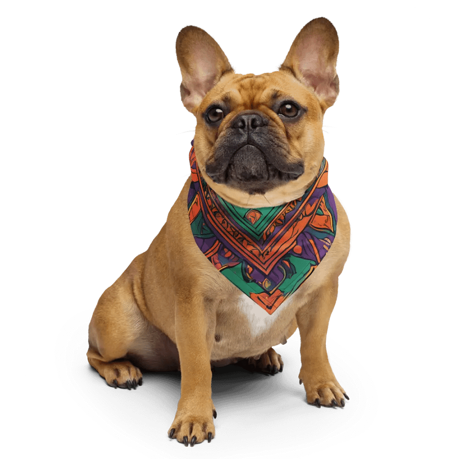 Kaleidoscope Bandana product image (4)