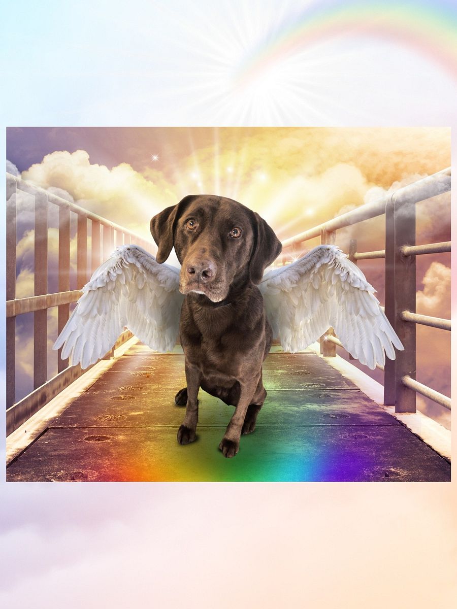 Pet Memorial Rainbow Bridge Portrait product image (5)
