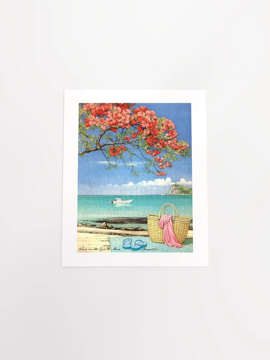 View on Coin de Mire - Mauritius product image (4)