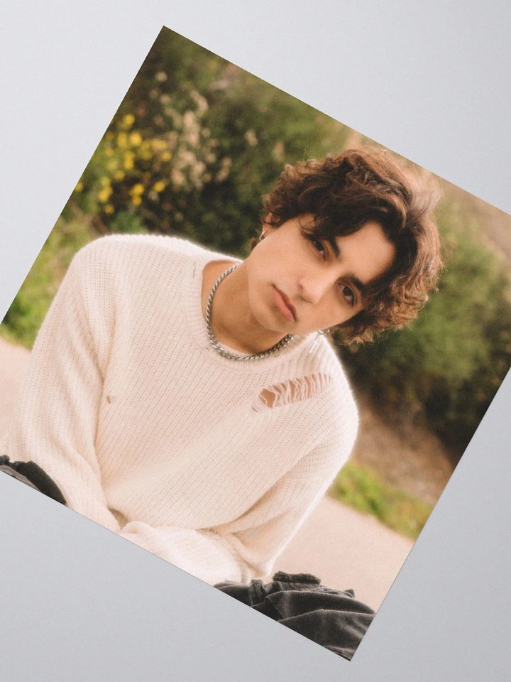 David Lee Photo Sticker product image (4)
