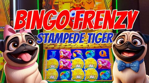 Watch the Gambling Pugs play the Bingo Frenzy Slot Machine. Follow the link below. https://youtu.be/Hth9Z1NCNKU