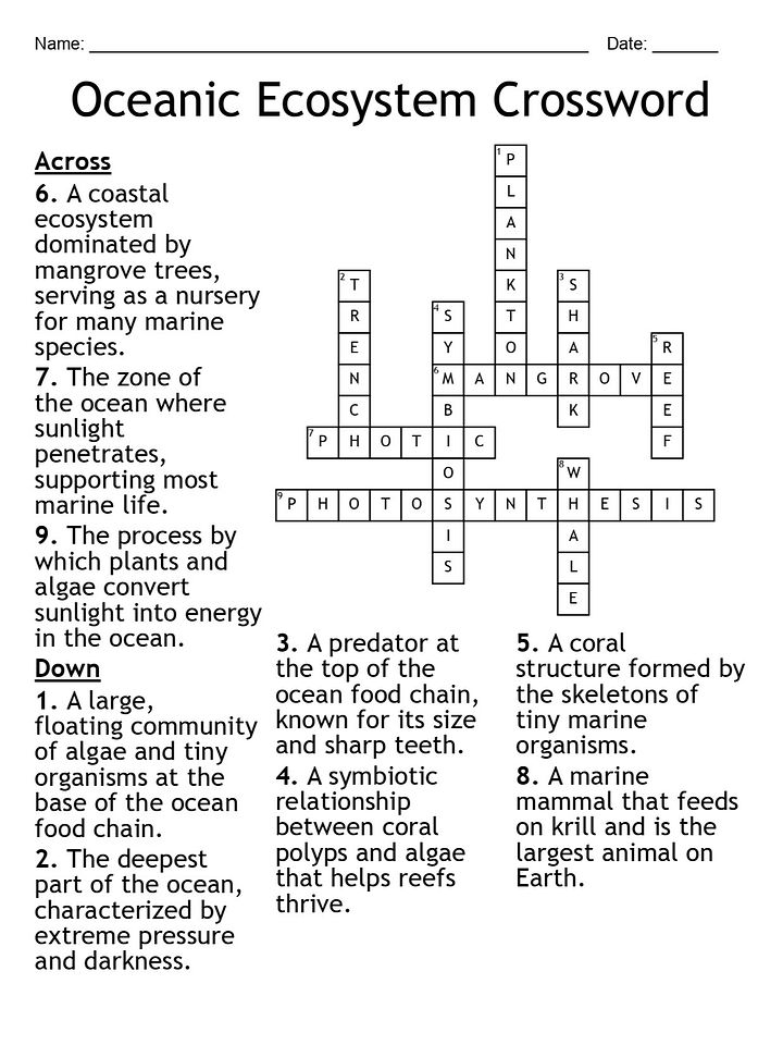 Oceanic Ecosystem Crossword Puzzle – Fun Marine Biology Activity product image (2)