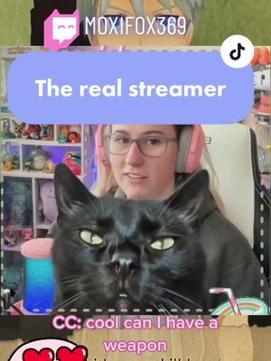 Squinty eyes mean LOVE! #catsoftiktok #catcam #lgbtqstreamers #twitchtoks  #singingtexttospeech 