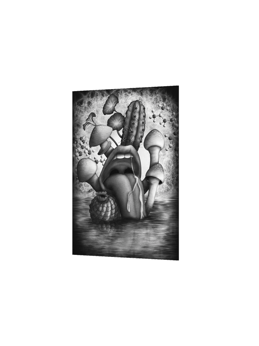 Entheogenia Poster product image (3)